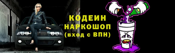 ПСИЛОЦИБИНОВЫЕ ГРИБЫ Арсеньев