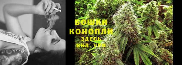 молекула духа Аркадак