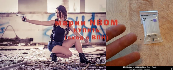 ПСИЛОЦИБИНОВЫЕ ГРИБЫ Арсеньев