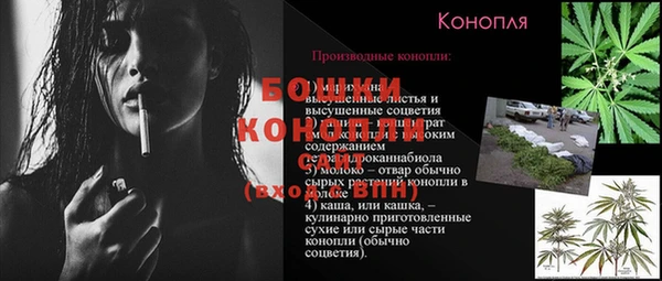 молекула духа Аркадак