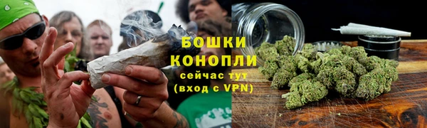 ПСИЛОЦИБИНОВЫЕ ГРИБЫ Арсеньев